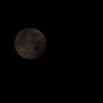 IMG_456971 grauer Mond1 (2)